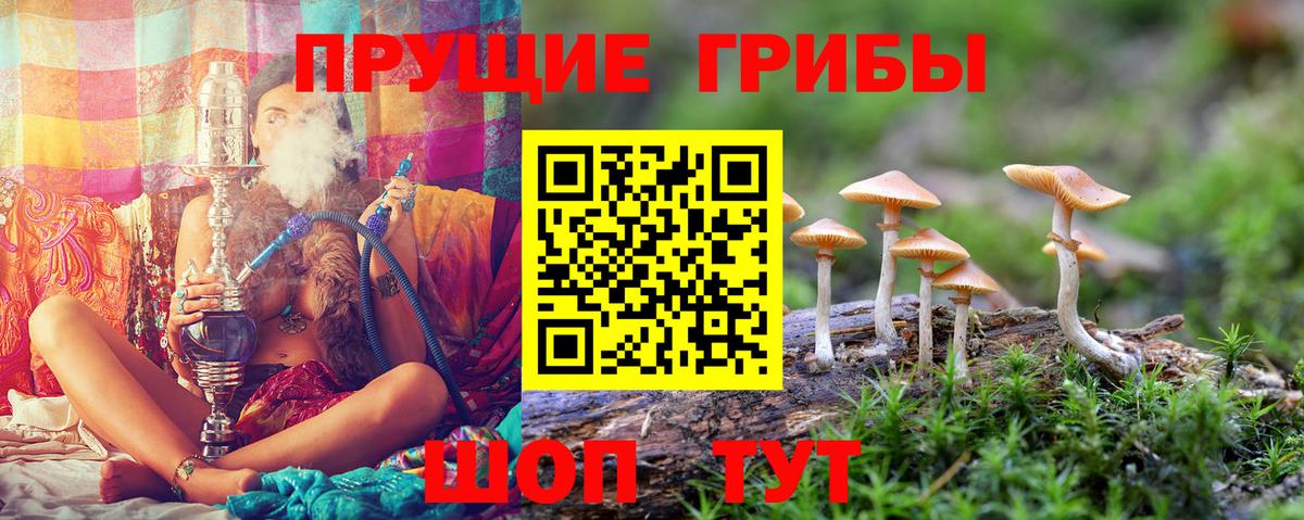 Псилоцибиновые грибы Magic Shrooms  Галлюциногенные грибы ЛСД  наркотики  Ревда  Вход с VPN 