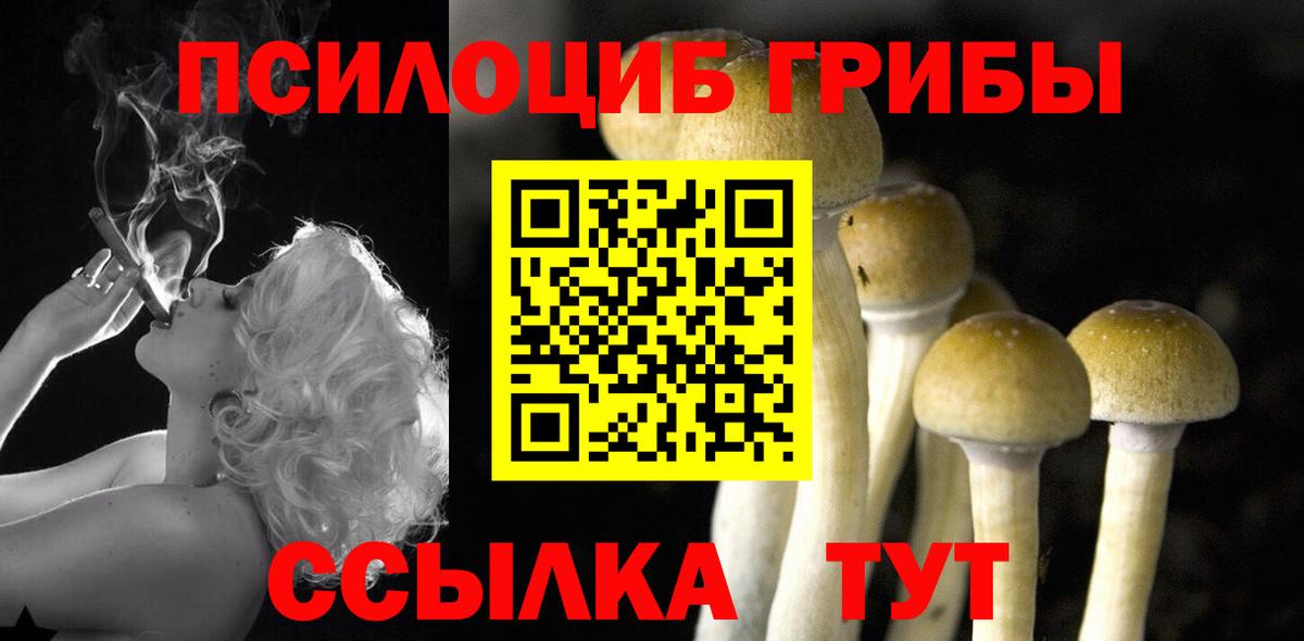 Галлюциногенные грибы мицелий Ревда